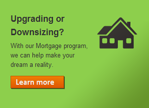 Fidelity Credit Union Global Financial & Exchange Securities Program